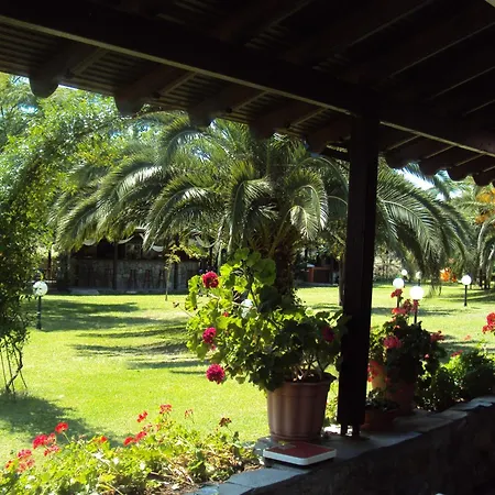 Nefeli Sykia Chalkidikis