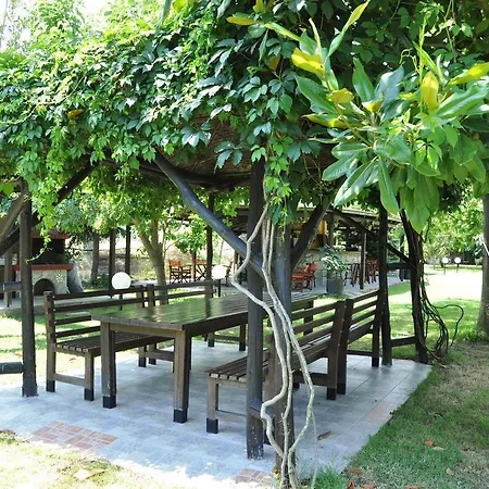Apartment Nefeli Sykia Chalkidikis
